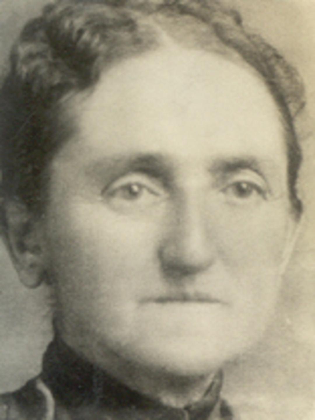 Ann Clifton (1849 - 1900) Profile
